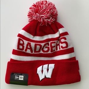 Wisconsin Badgers Hat